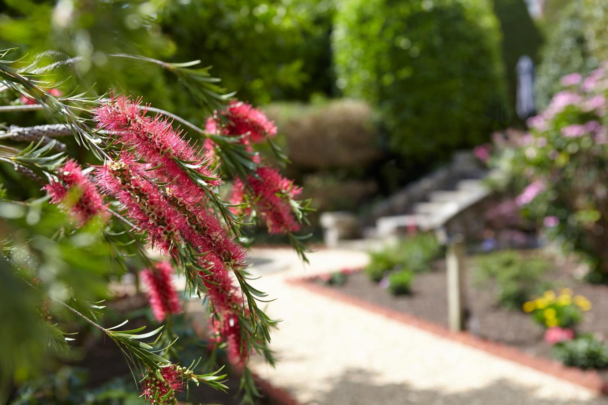 Luccombe Hall Hotel Shanklin Dış mekan fotoğraf